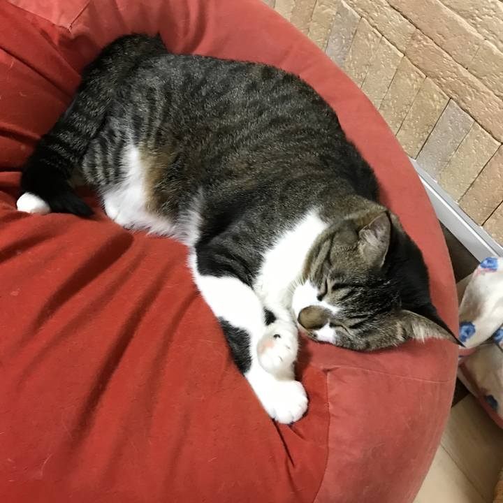 Fd3ff01b 211e 44a7 aa26 15473f1290b8