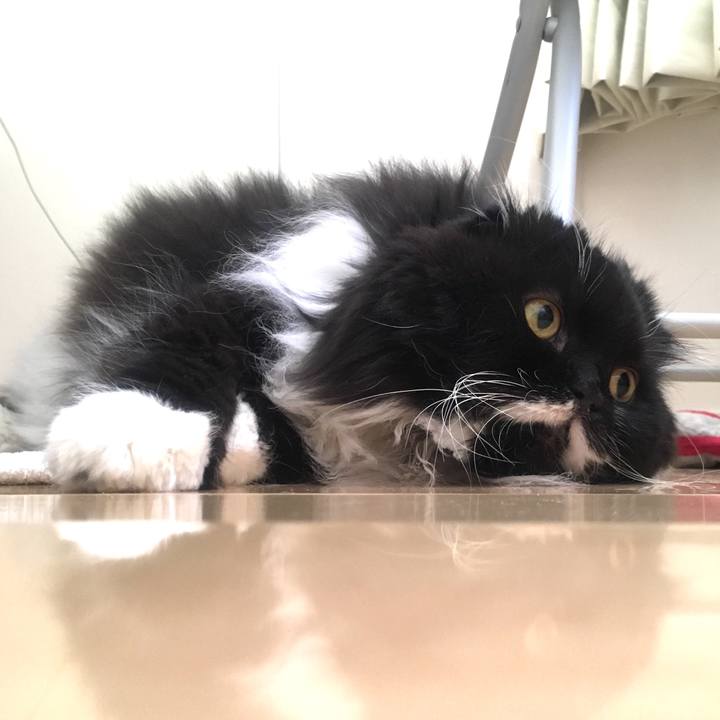 Fd405c1b caf0 47ee 8eeb d70ebd9841c9