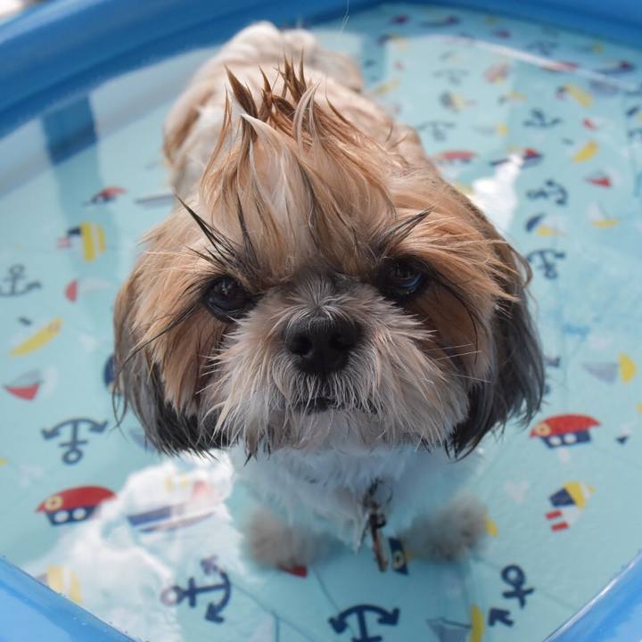 Fd409eda 5b0e 480a b8e8 9fe01e048a4b