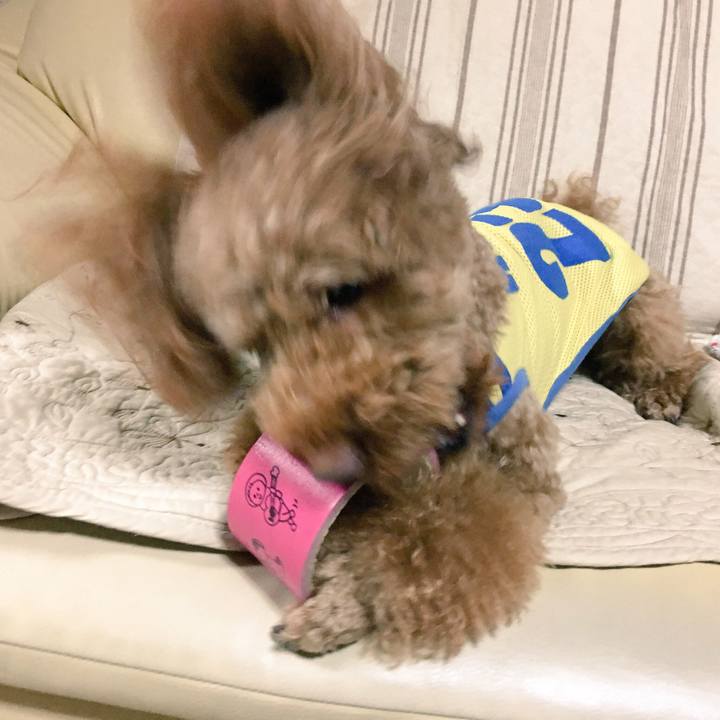 Fd4154e2 81d3 48cd b506 953cfe61aa5c