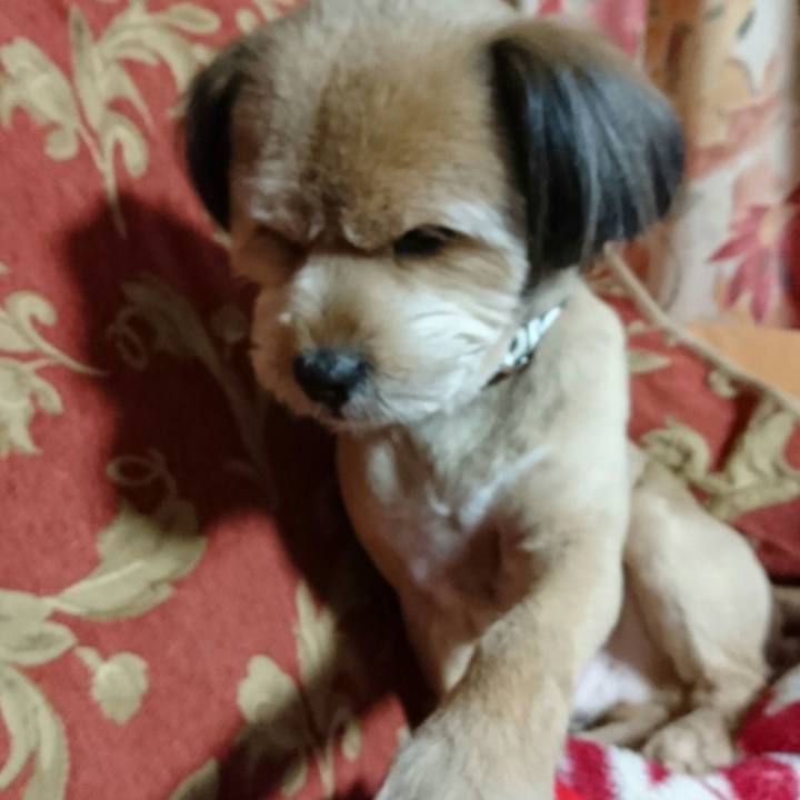 Fd41e7af 8a9d 4ebe 851c 74f87b087ffb