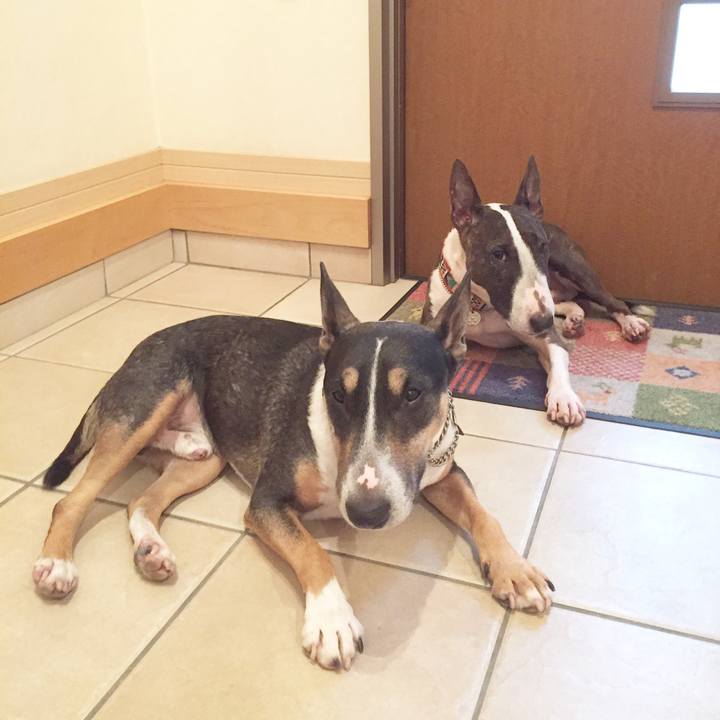 Fd427cc2 0552 4b60 ba9e 6fa7412bbb55