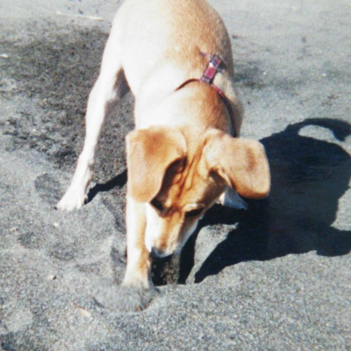 Fd431803 26d0 487f b2ac b1111916fab4