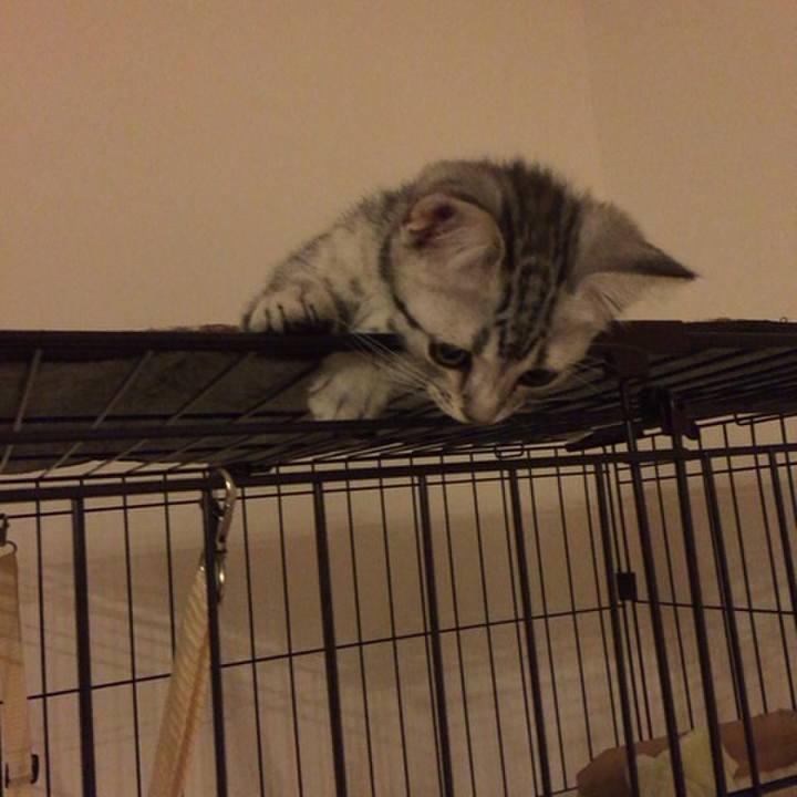 Fd433168 e351 408c 9860 a4e5ff46ff8f