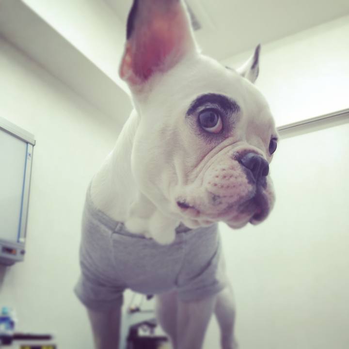 Fd434749 cf20 4538 8224 cebe5b02b35c