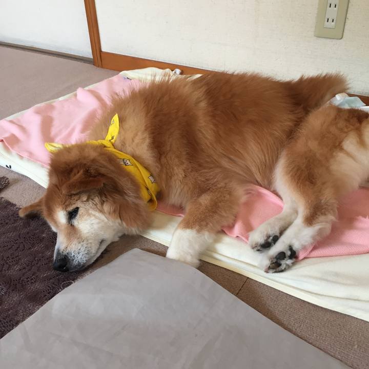 Fd434a3d aad1 4d94 9a0a d7ea3811d59e