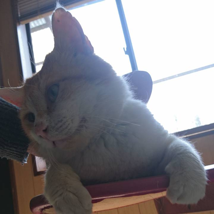 Fd444edf dcd5 41bc 85af 4f15d7b22c42