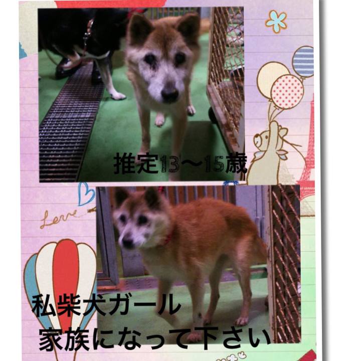 Fd444fcb 891d 40da b7aa b60467c31b51