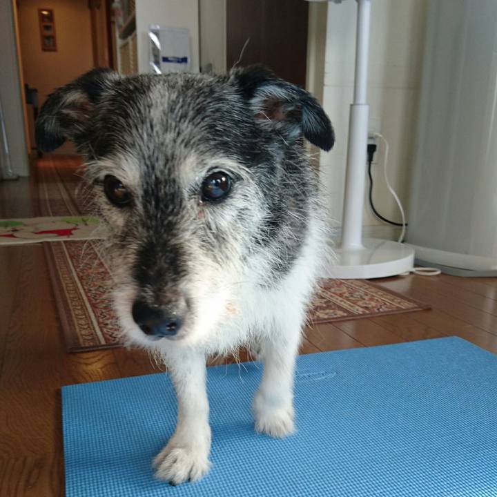 Fd449a88 55f1 4716 9e50 735bd57aba4b