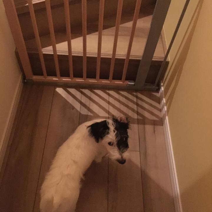 Fd44b012 5c25 496e a159 7927b9498e69