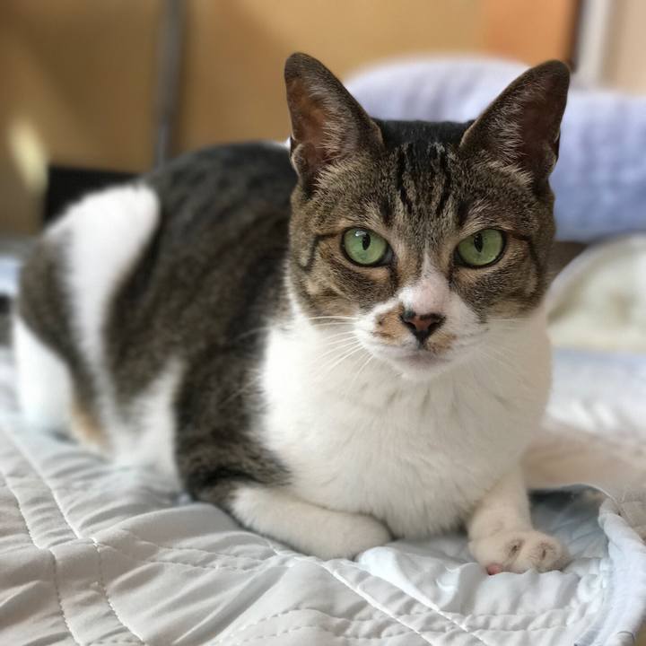 Fd44c5b3 040c 42bf 9638 bbf5a5eb3610