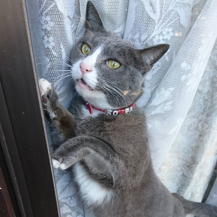 Fd4590dd 6176 4da7 bcbb 06a30ec1ea45