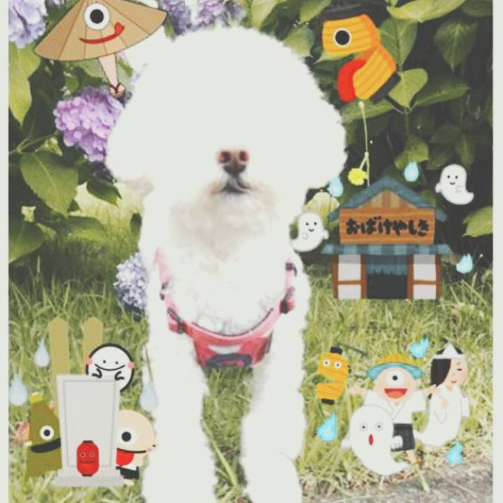 Fd459431 f013 444b 9a29 167810b64873