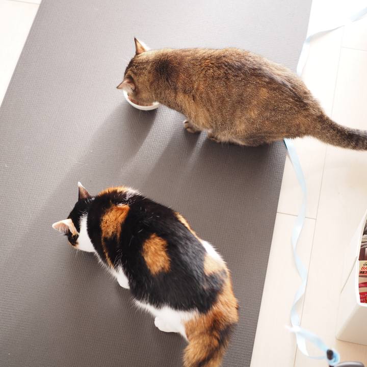 Fd45ba8b 3cb7 477e 82cc a8e06cd537e1