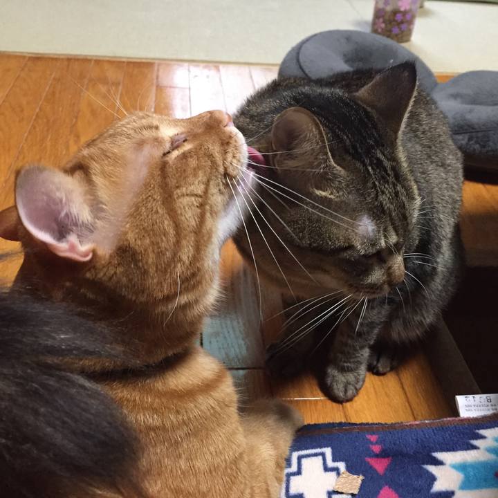 Fd4632d5 e618 4186 a721 d7c0ac51569f