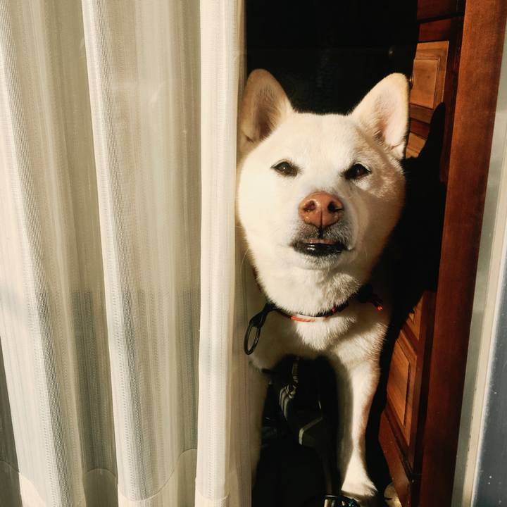 Fd46d978 3047 4af3 b21c 8e8e72429155