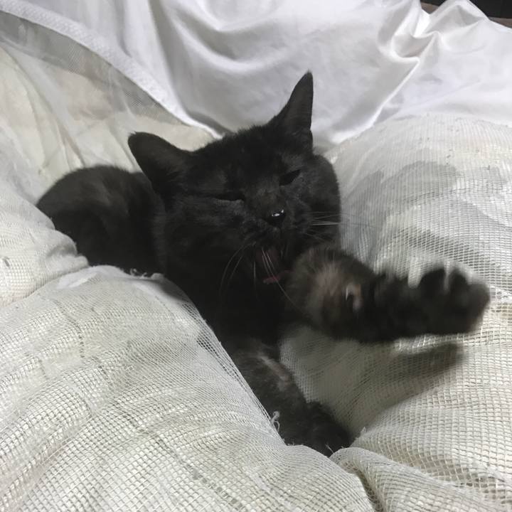 Fd47ed0c f379 4a6f b771 931f43c51581