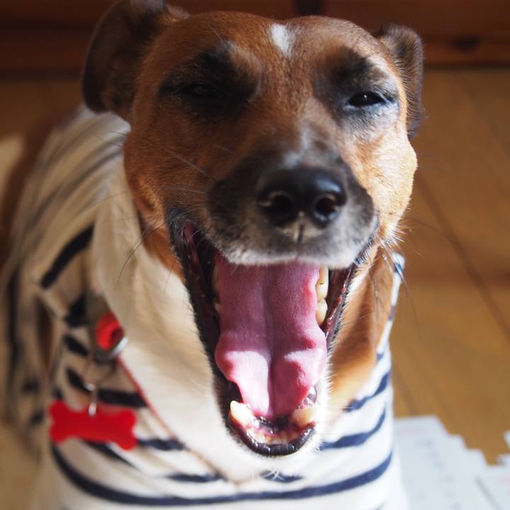 Fd482f46 dbc3 444e aa31 f6bf42acacec