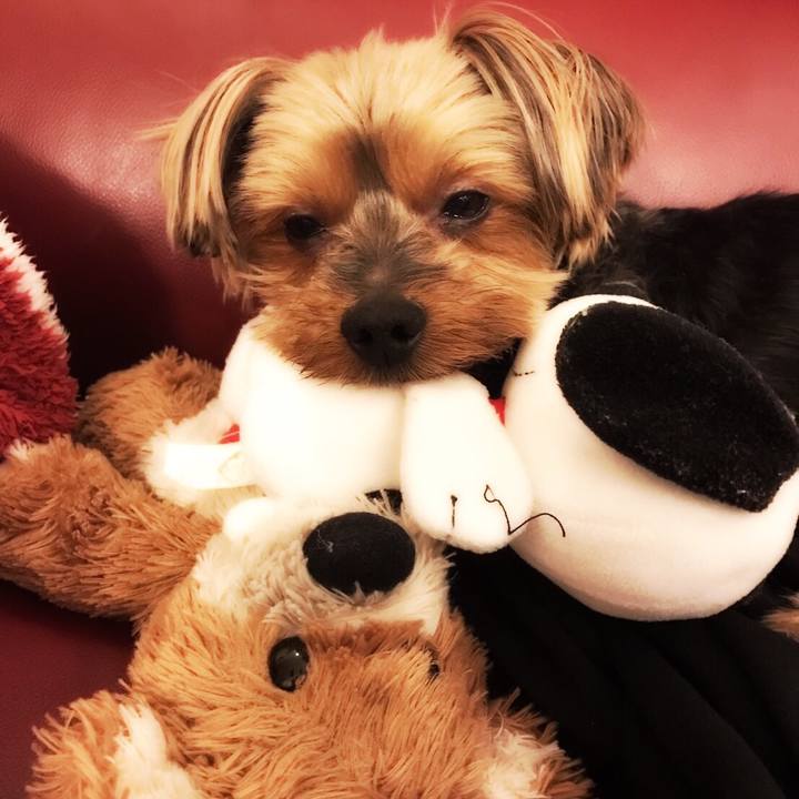 Fd48a6a0 bdf4 4044 b651 45f97fbed0ab