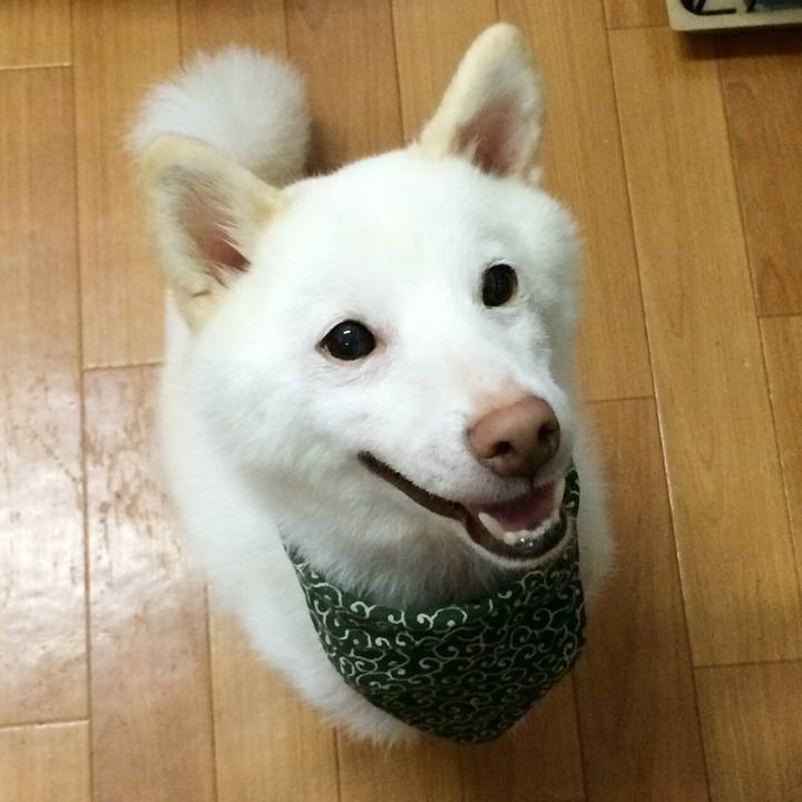 Fd4a493e 44b7 4c26 b40e d9b26f1cf5f5