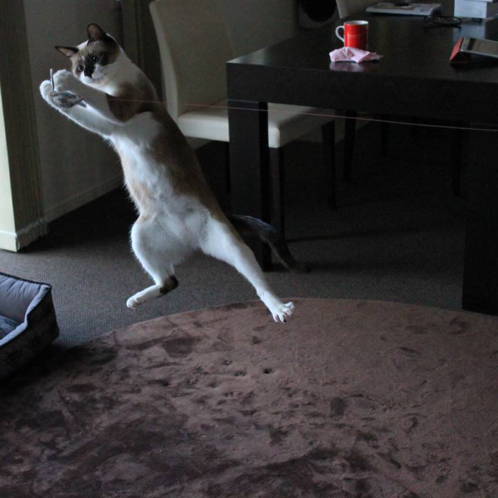 Fd4b1725 644c 4a62 90a9 065235ca2fcf