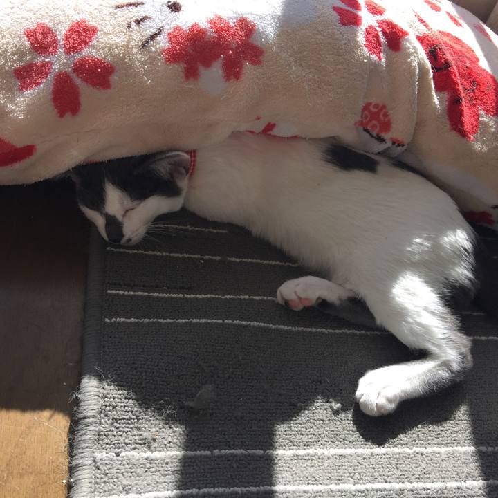 Fd4b5c5b 45a1 4c9d 8571 35d3faa2ae2a