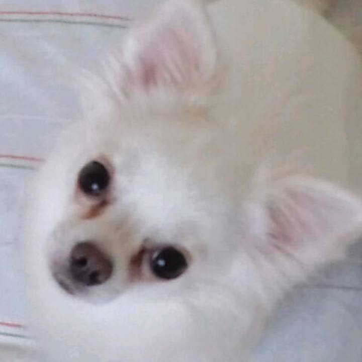 Fd4bef70 a1ec 41a7 a153 88bd4aae12e2