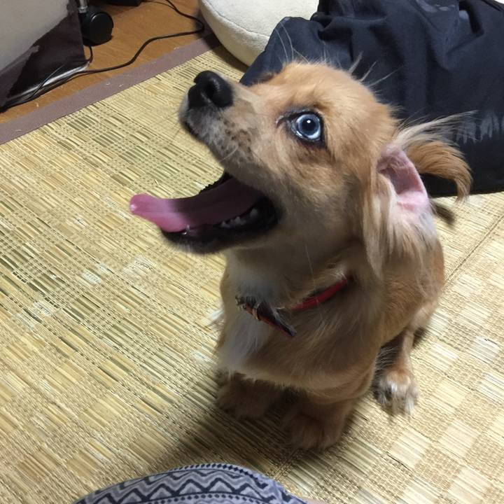 Fd4c0082 edd9 4ed9 81b4 4e5965d67a95