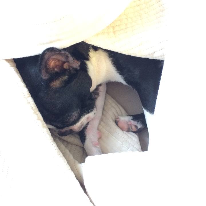 Fd4c281e fe89 4ebc aa92 81db70dd34e6