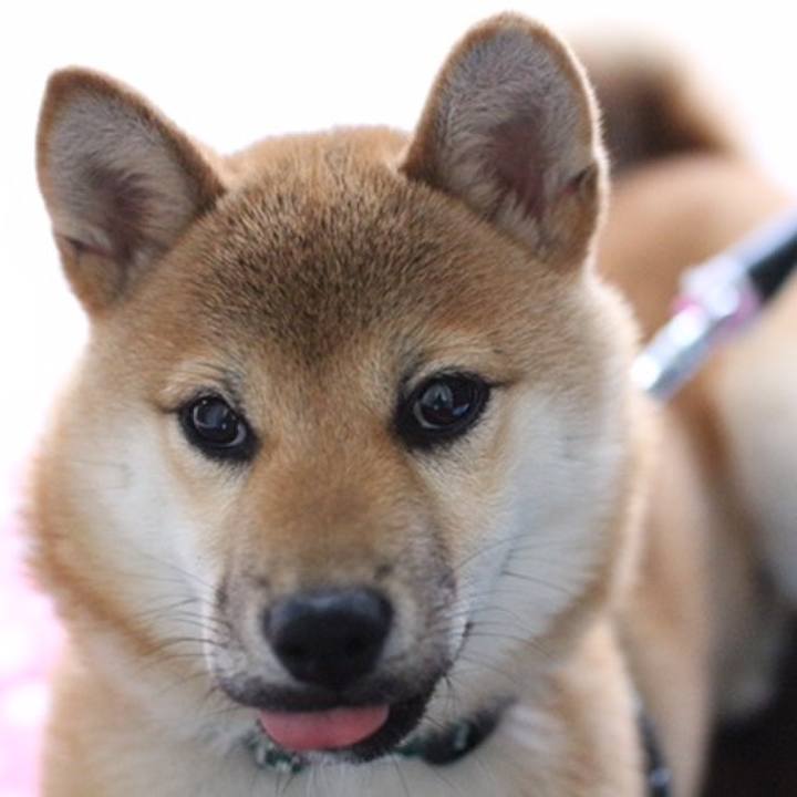 Fd4dd07f a37a 4f1e b30b fbcf9c3be3f6