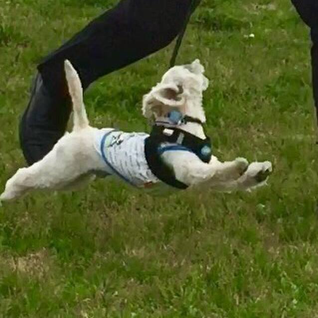 Fd4e3c60 3835 454c ad20 d82569a3b276