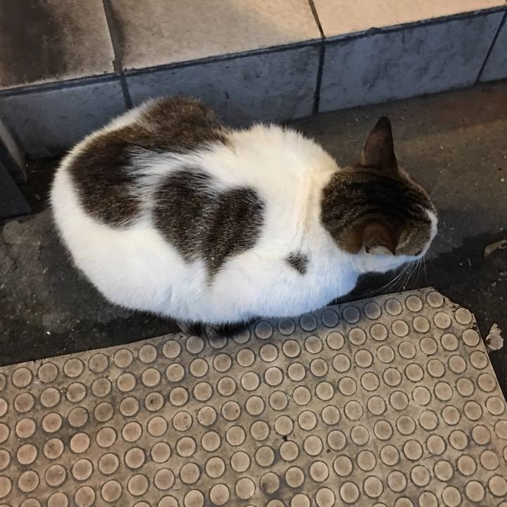 Fd4e3deb c29e 4b29 ae3d d78d6bfda977