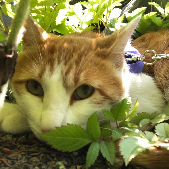 Fd4e6430 2556 407b 95b2 bba5c859b937