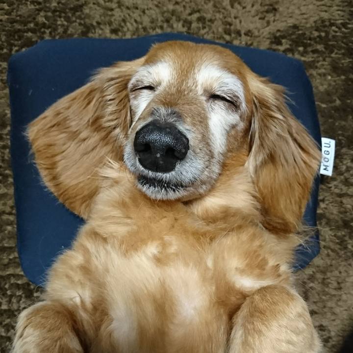 Fd4eb69b c0bd 4f77 aa58 661e69abdabb