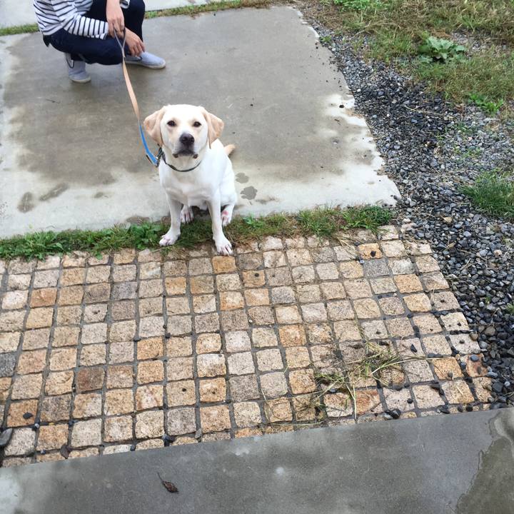 Fd4ed0f8 cf70 4e0a 90d0 2da86134b594