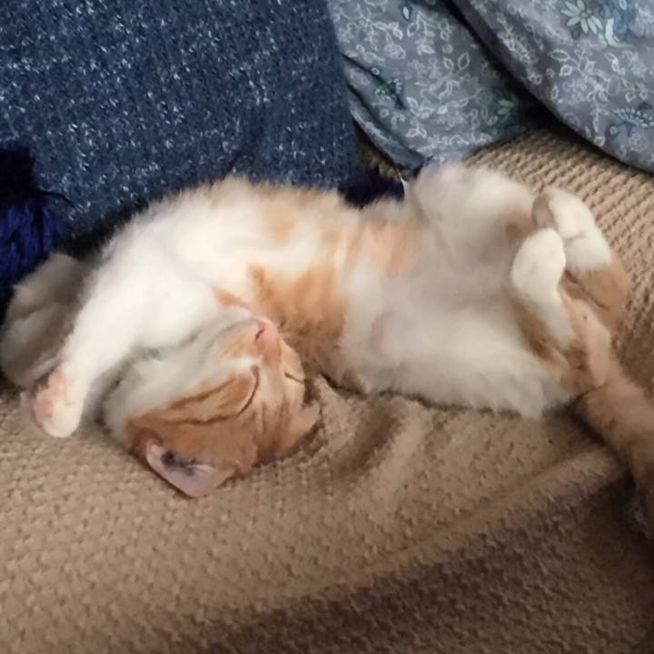 Fd4f03ba b0c1 404d 9d5f 693f66abec31