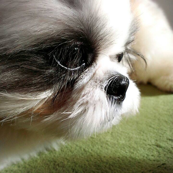 Fd4f3989 9ec4 4fb9 a380 a22ba36da27f