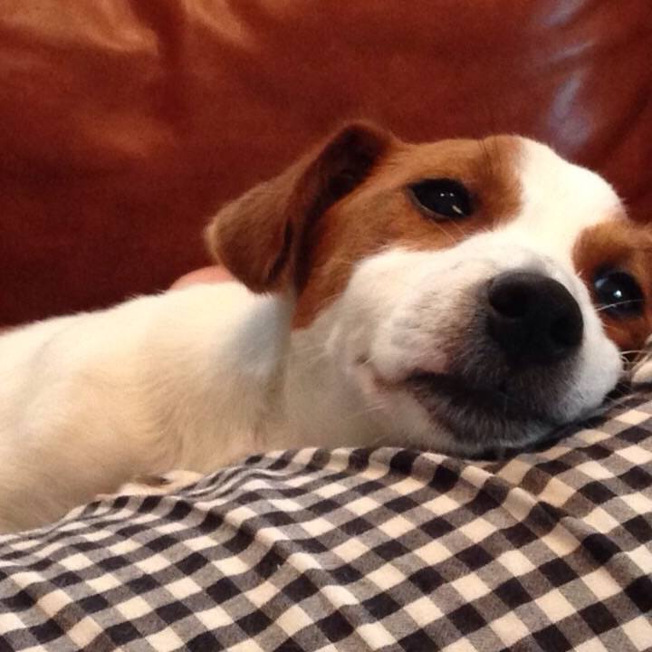 Fd4f3a4c 4043 4d4c bc1d 513c9398862b