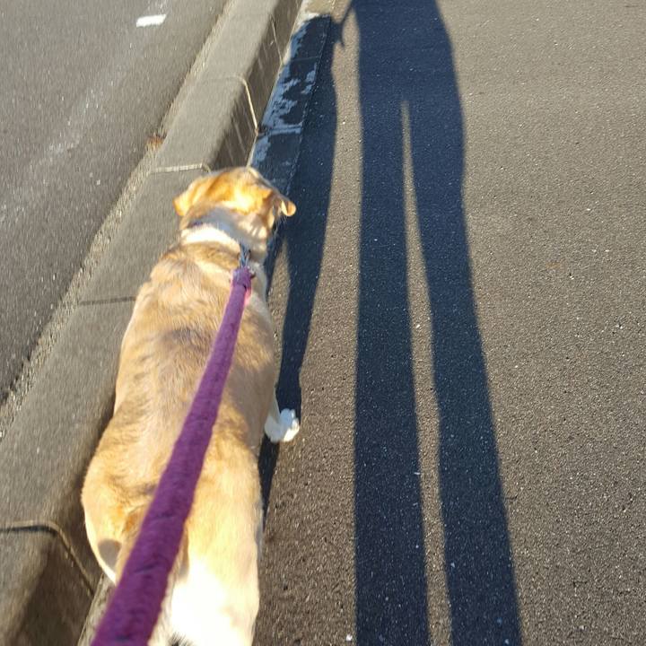 Fd4f660e b91d 4153 8e96 fba8c3248290