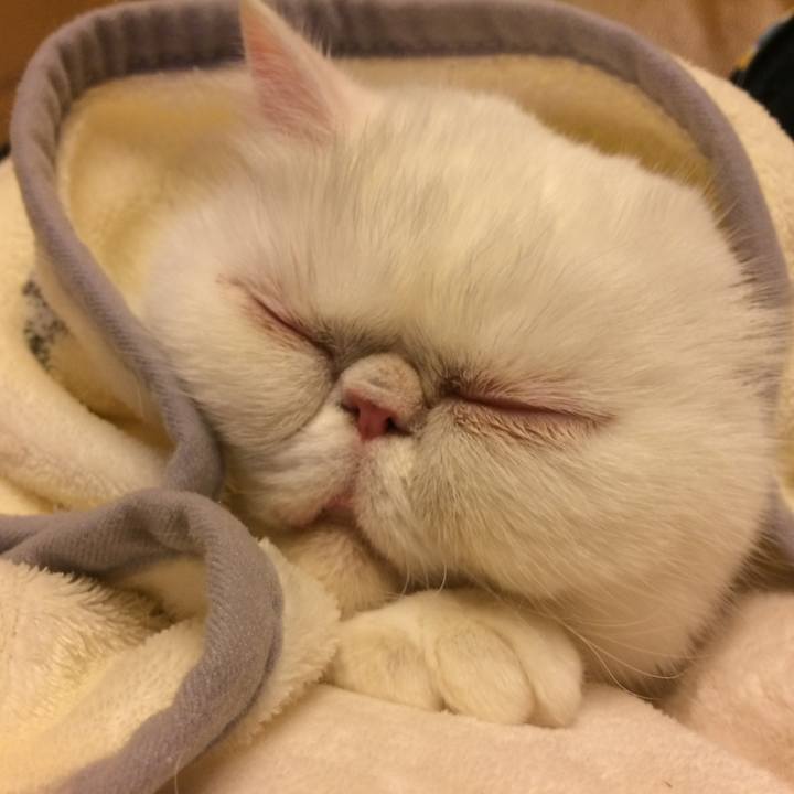 Fd4ffaa8 72d1 4b7c 8dbc 5ced8298a0f7