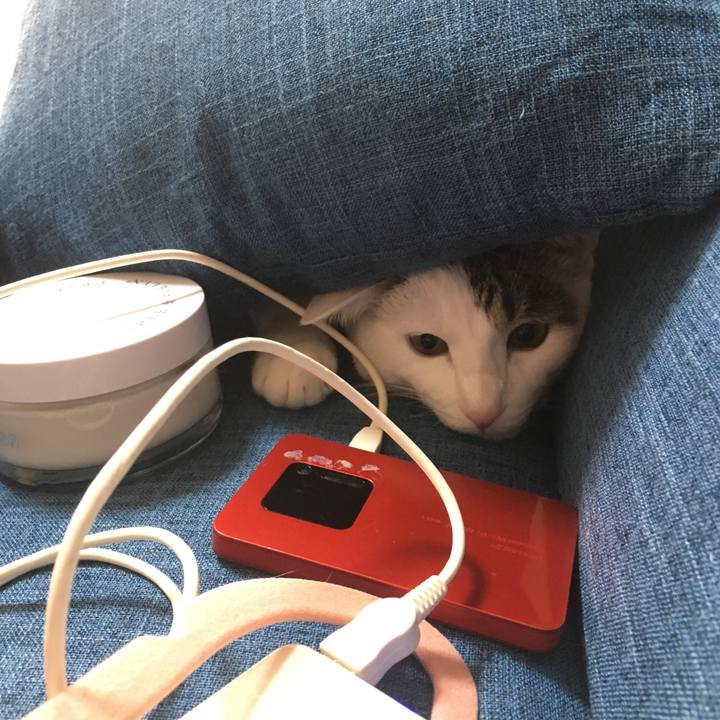 Fd505eb7 025c 4da3 969f 5e29c2d37d9f