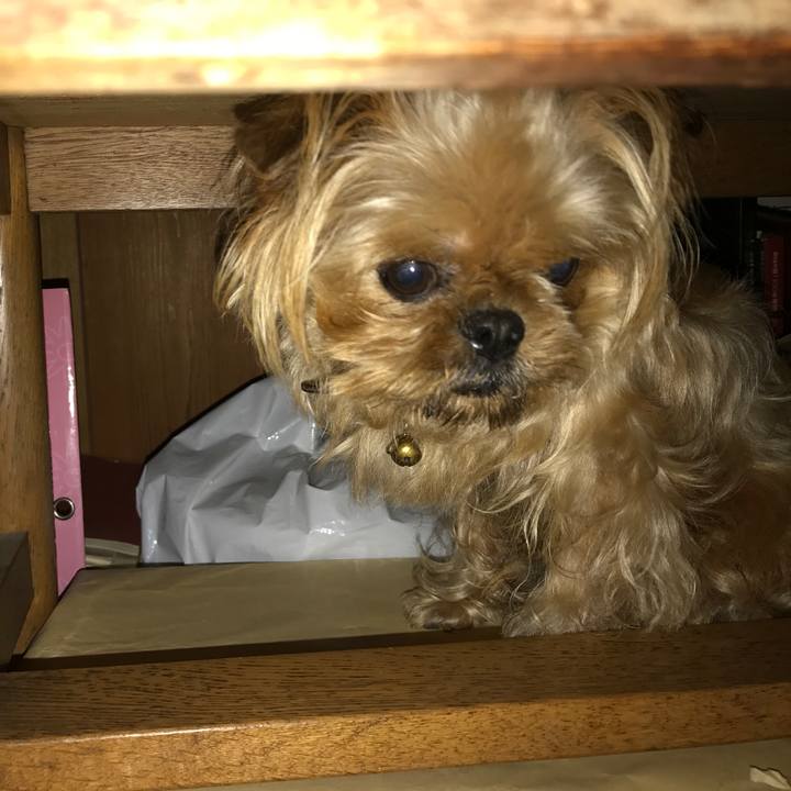 Fd50fefc 8ca3 4634 82ea 5d50749f4717