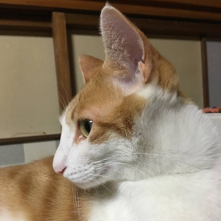 Fd510ade 393d 4538 898f af7e18c630fe