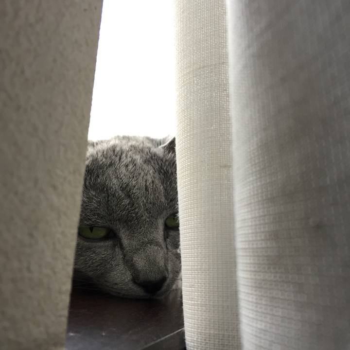 Fd513045 5cc3 4126 9f1a af7d3566f82b