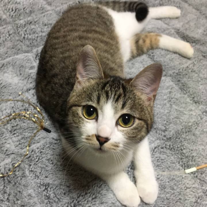 Fd515f0c 9e40 45c3 9ab3 50274ec33681