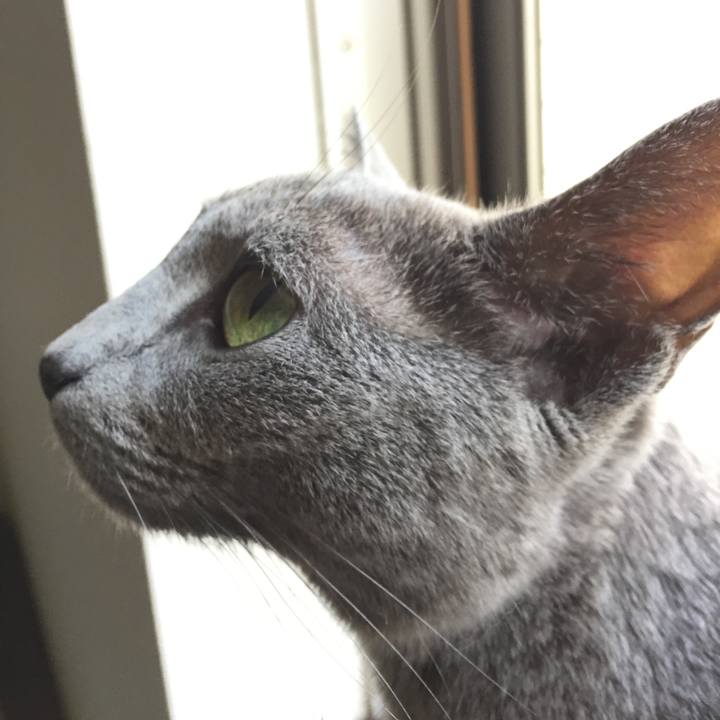 Fd5178bf 5dfc 4176 9897 ff6e6610157a