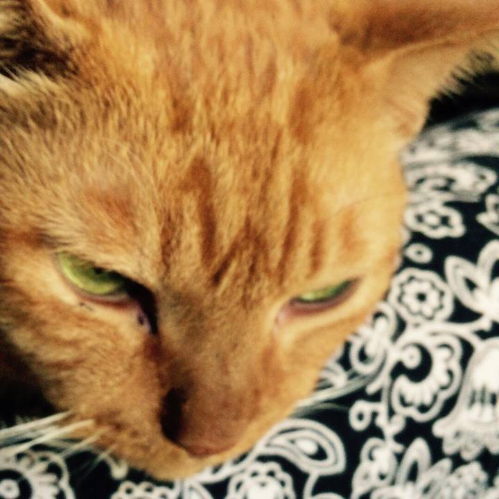 Fd5195af 808a 45bd a03c f777216cd214