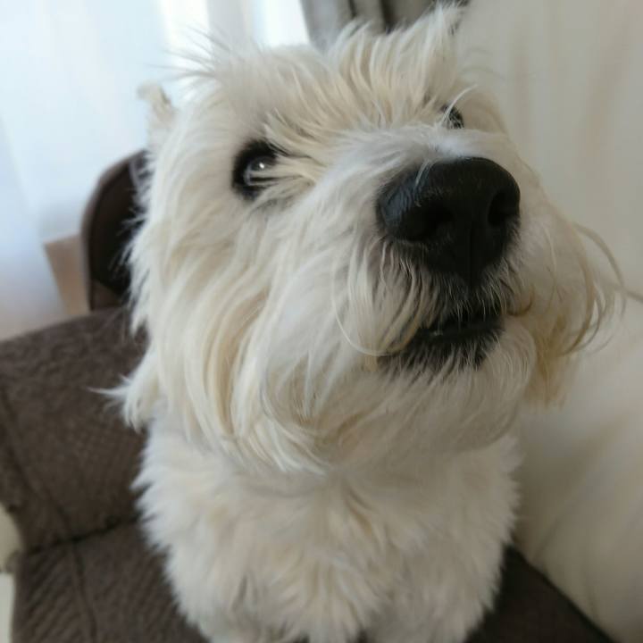 Fd52e90f 912c 4c6b bab4 4dce2b706c47