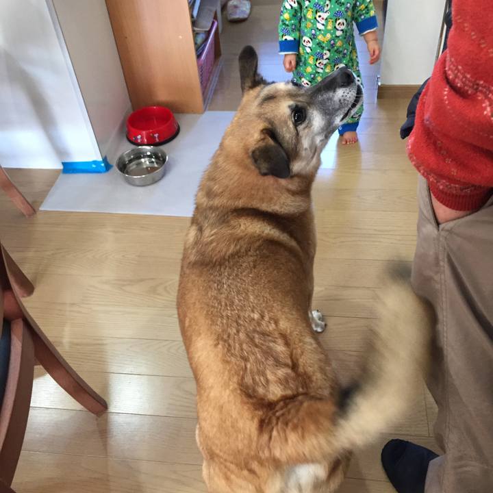 Fd534403 52e8 476c 9742 93bd9b6e64cd