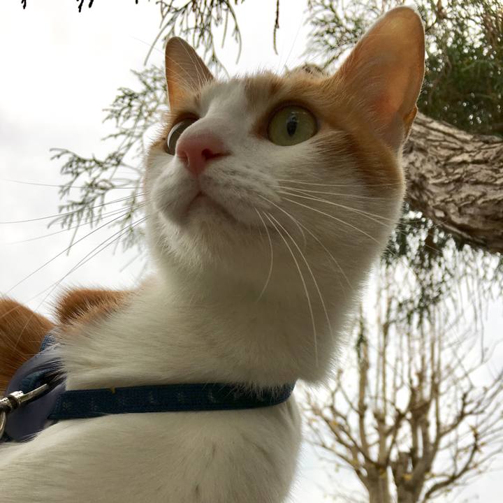 Fd537f75 7808 4525 bb2d 718df794327a